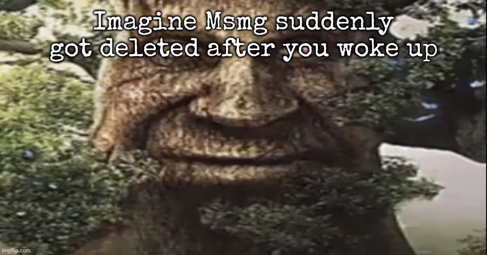 We would either leave the site or go to Vibe_zone | Imagine Msmg suddenly got deleted after you woke up | image tagged in wise mystical tree,msmg | made w/ Imgflip meme maker