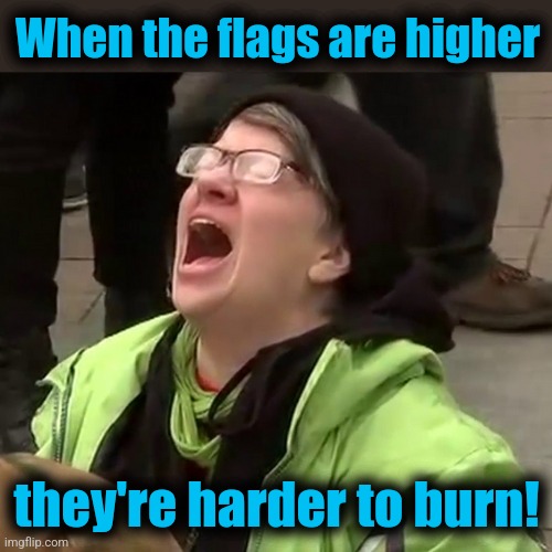 Crying liberal | When the flags are higher they're harder to burn! | image tagged in crying liberal | made w/ Imgflip meme maker