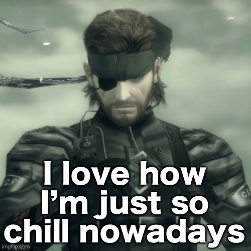 Metal Gear Solid Snake | I love how I’m just so chill nowadays | image tagged in metal gear solid snake | made w/ Imgflip meme maker