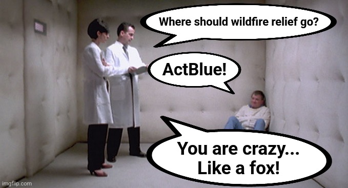 Man in Cell in Straightjacket | Where should wildfire relief go? You are crazy...
Like a fox! ActBlue! | image tagged in man in cell in straightjacket | made w/ Imgflip meme maker