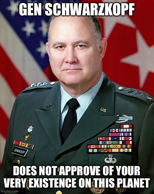 GEN Norman Schwarzkopf | GEN SCHWARZKOPF DOES NOT APPROVE OF YOUR VERY EXISTENCE ON THIS PLANET | image tagged in gen norman schwarzkopf | made w/ Imgflip meme maker