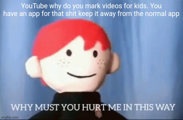 why must you hurt me in this way | YouTube why do you mark videos for kids. You have an app for that shit keep it away from the normal app | image tagged in why must you hurt me in this way | made w/ Imgflip meme maker