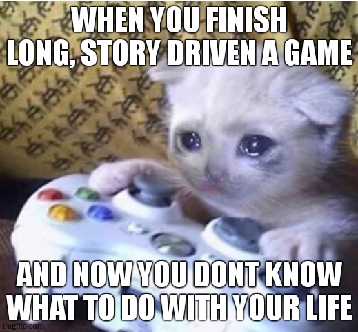 game meme | WHEN YOU FINISH LONG, STORY DRIVEN A GAME; AND NOW YOU DONT KNOW WHAT TO DO WITH YOUR LIFE | image tagged in sad gaming cat,memes,relateable | made w/ Imgflip meme maker