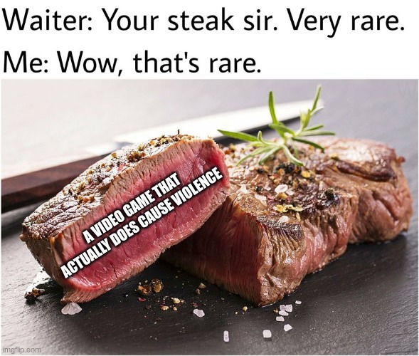 rare steak meme | A VIDEO GAME THAT ACTUALLY DOES CAUSE VIOLENCE | image tagged in rare steak meme | made w/ Imgflip meme maker