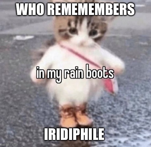 Rain boots | WHO REMEMEMBERS; IRIDIPHILE | image tagged in rain boots | made w/ Imgflip meme maker
