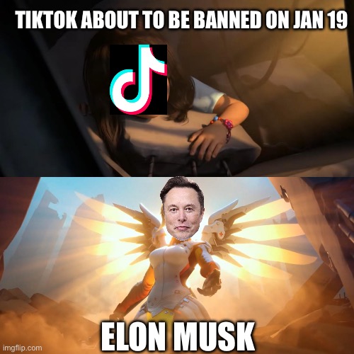 Pls save TikTok Elon | TIKTOK ABOUT TO BE BANNED ON JAN 19; ELON MUSK | image tagged in overwatch mercy meme | made w/ Imgflip meme maker