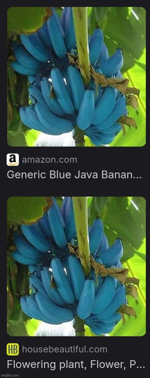 Just source checked and the blue bananas are realllllllll | made w/ Imgflip meme maker