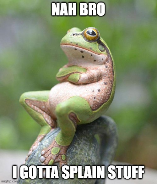 nah frog | NAH BRO I GOTTA SPLAIN STUFF | image tagged in nah frog | made w/ Imgflip meme maker