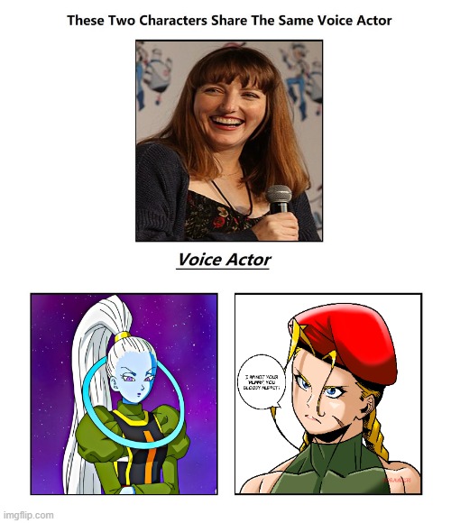 Caitlin Glass | image tagged in same voice actor,anime,street fighter,dragon ball z,videogames,fun fact | made w/ Imgflip meme maker