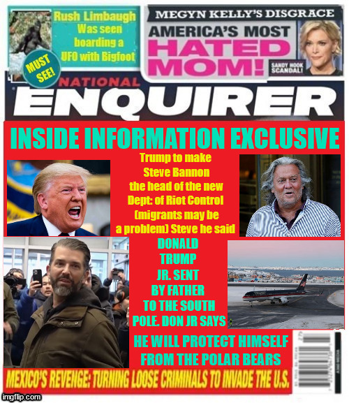 National Enquirer Trump appoints Bannon to top staff position | image tagged in national enquirer trump appoints bannon to top staff position,don jr to the south pole,polar bears,steve bannon,maga morons | made w/ Imgflip meme maker