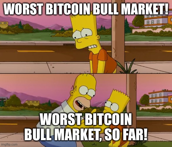 Simpsons so far | WORST BITCOIN BULL MARKET! WORST BITCOIN BULL MARKET, SO FAR! | image tagged in simpsons so far | made w/ Imgflip meme maker