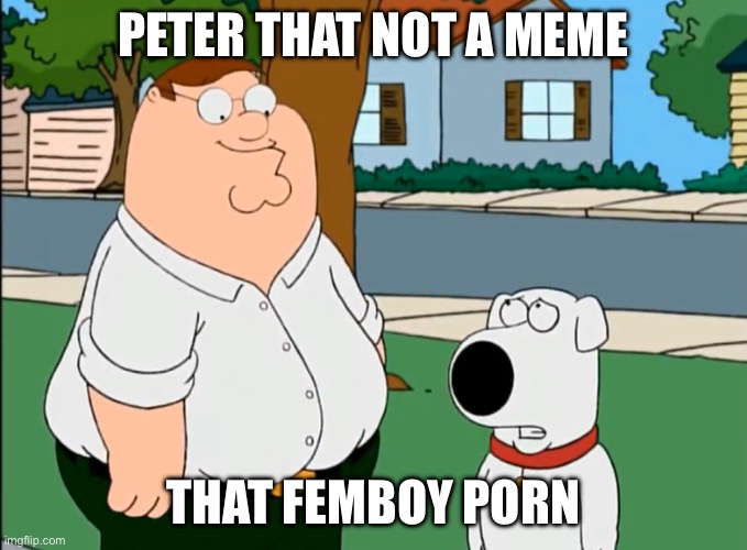 Peter, that's not a (insert here) | PETER THAT NOT A MEME THAT FEMBOY PORN | image tagged in peter that's not a insert here | made w/ Imgflip meme maker