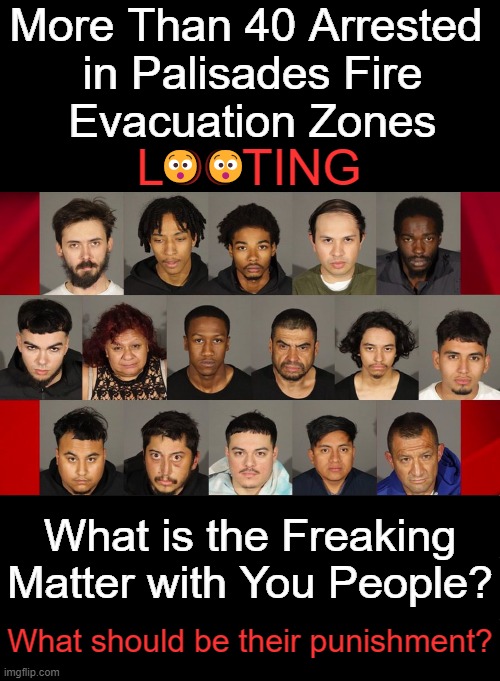 Low Life Scum | More Than 40 Arrested 
in Palisades Fire
Evacuation Zones; LOOTING; 😯😯; What is the Freaking Matter with You People? What should be their punishment? | image tagged in looting,fire,idiots,punishment,disgusting,criminals | made w/ Imgflip meme maker