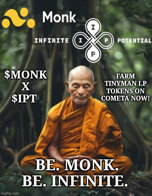 Monk/IPT | FARM TINYMAN LP TOKENS ON COMETA NOW! $MONK
X
$IPT; BE. MONK. BE. INFINITE. | image tagged in crypto | made w/ Imgflip meme maker