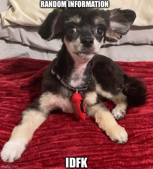 Fucker got a haircut | RANDOM INFORMATION; IDFK | image tagged in fucker got a haircut | made w/ Imgflip meme maker