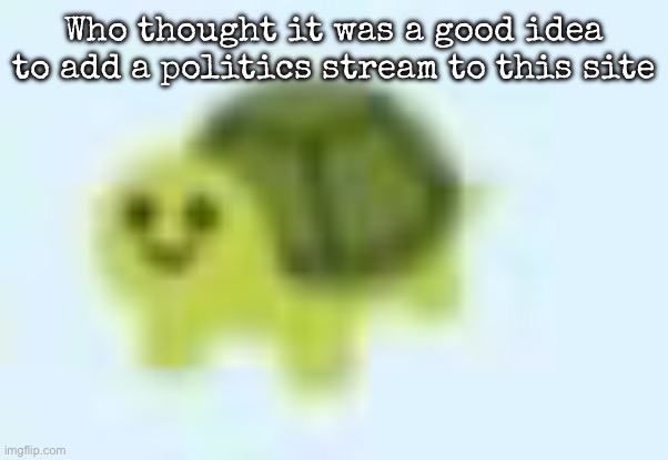 low quality turtle | Who thought it was a good idea to add a politics stream to this site | image tagged in low quality turtle,msmg | made w/ Imgflip meme maker