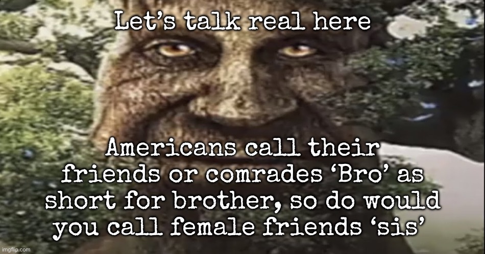 Tree | Let’s talk real here; Americans call their friends or comrades ‘Bro’ as short for brother, so do would you call female friends ‘sis’ | image tagged in wise mystical tree,msmg | made w/ Imgflip meme maker