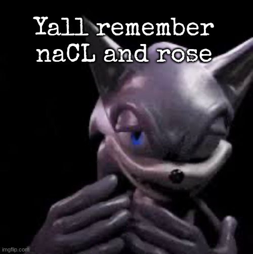 Sonic freaky | Yall remember naCL and rose | image tagged in sonic freaky | made w/ Imgflip meme maker