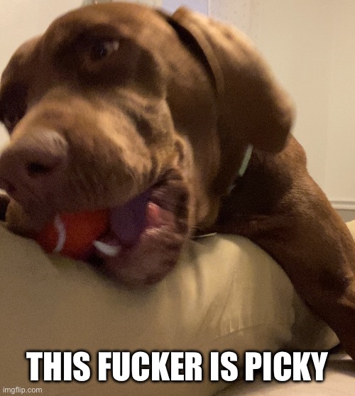 THIS FUCKER IS PICKY | made w/ Imgflip meme maker