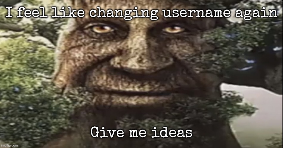 Already having some in mind | I feel like changing username again; Give me ideas | image tagged in wise mystical tree,msmg | made w/ Imgflip meme maker