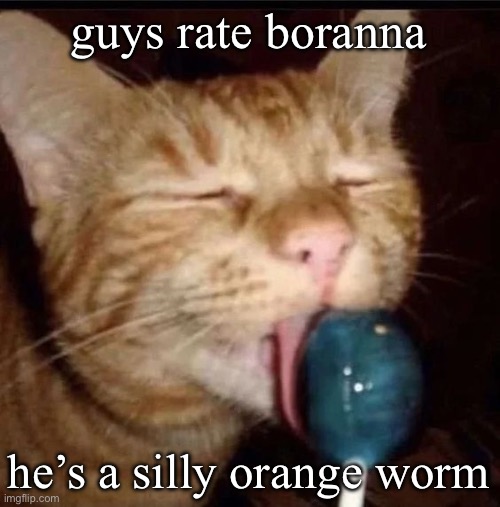 silly goober 2 | guys rate boranna; he’s a silly orange worm | image tagged in silly goober 2 | made w/ Imgflip meme maker