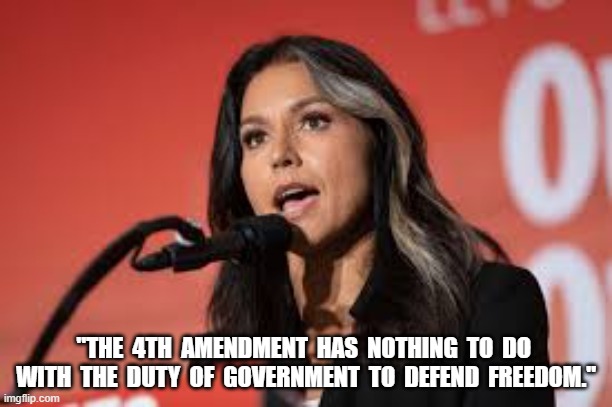 Freedom Is Paid For | "THE  4TH  AMENDMENT  HAS  NOTHING  TO  DO  WITH  THE  DUTY  OF  GOVERNMENT  TO  DEFEND  FREEDOM." | image tagged in change my mind | made w/ Imgflip meme maker