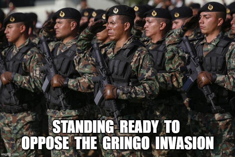 halls of montezuma | STANDING  READY  TO  OPPOSE  THE  GRINGO  INVASION | image tagged in mexico | made w/ Imgflip meme maker