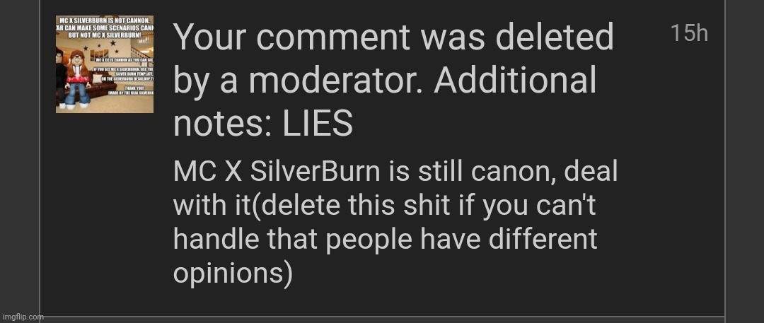 What kind of dumbass mod abuse is this | image tagged in msmg,memes,mod | made w/ Imgflip meme maker