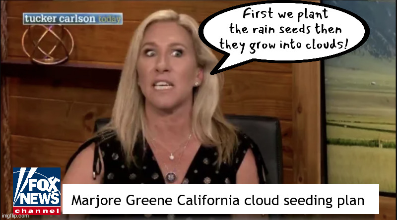 FOXAGANDA Cloud seeding Marge Greene | First we plant the rain seeds then they grow into clouds! Marjore Greene California cloud seeding plan | image tagged in foxaganda cloud seeding marge greene,cave woman not undersand science,butt ugly,maga mogoloid | made w/ Imgflip meme maker