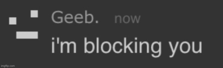 im blocking you | image tagged in im blocking you | made w/ Imgflip meme maker