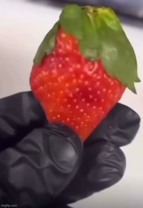 strawberry said "IVE BECOME SO NUMB" | made w/ Imgflip meme maker