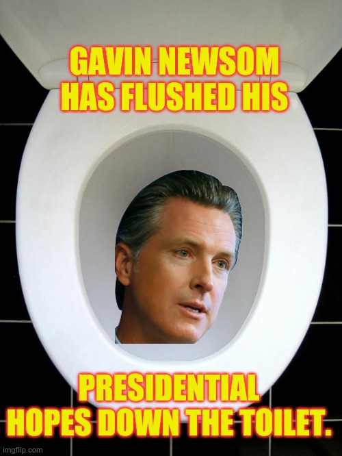 TOILET | GAVIN NEWSOM HAS FLUSHED HIS PRESIDENTIAL HOPES DOWN THE TOILET. | image tagged in toilet | made w/ Imgflip meme maker