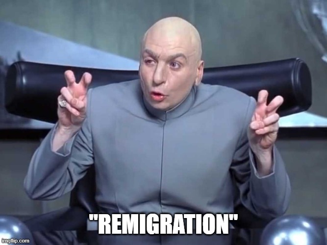 Dr Evil air quotes | "REMIGRATION" | image tagged in dr evil air quotes | made w/ Imgflip meme maker