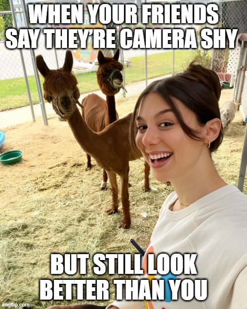 friends | WHEN YOUR FRIENDS SAY THEY’RE CAMERA SHY; BUT STILL LOOK BETTER THAN YOU | image tagged in memes | made w/ Imgflip meme maker