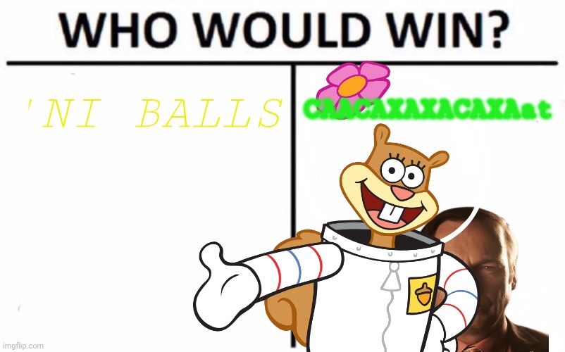 Who Would Win? | 'NI BALLS; CAACAXAXACAXAat | image tagged in memes,who would win | made w/ Imgflip meme maker