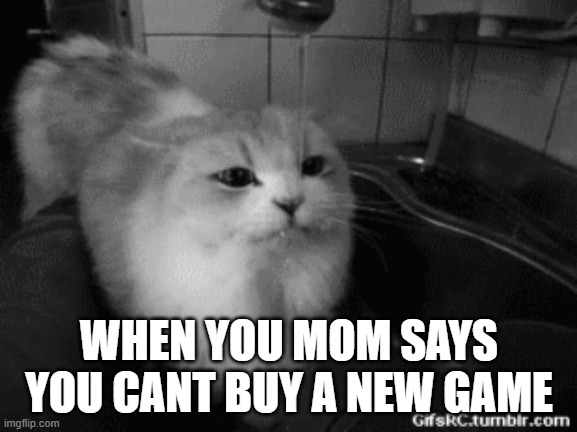 WHEN YOU MOM SAYS YOU CANT BUY A NEW GAME | image tagged in cats | made w/ Imgflip meme maker