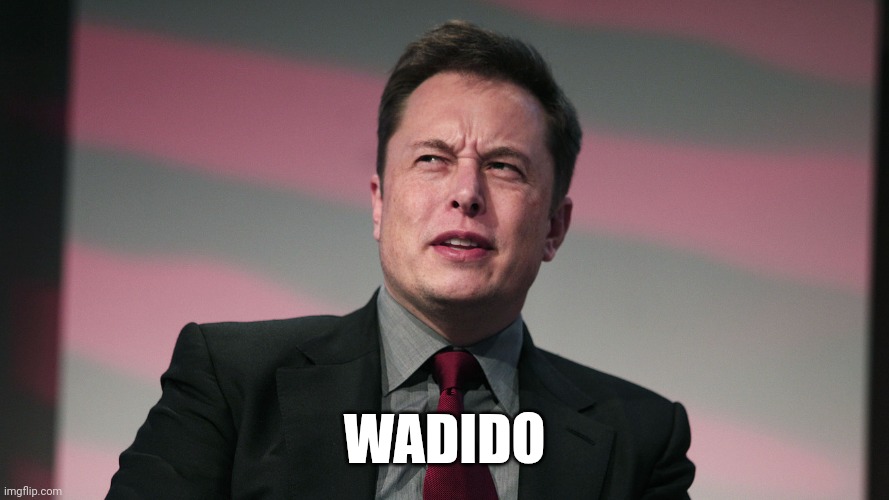 China wants to sell me tic toc? | WADIDO | image tagged in confused elon musk | made w/ Imgflip meme maker