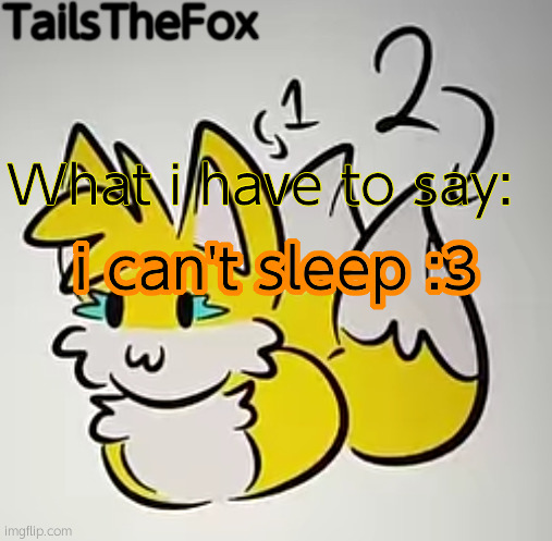 i am feeling a little silly | TailsTheFox; What i have to say:; i can't sleep :3 | image tagged in silly | made w/ Imgflip meme maker