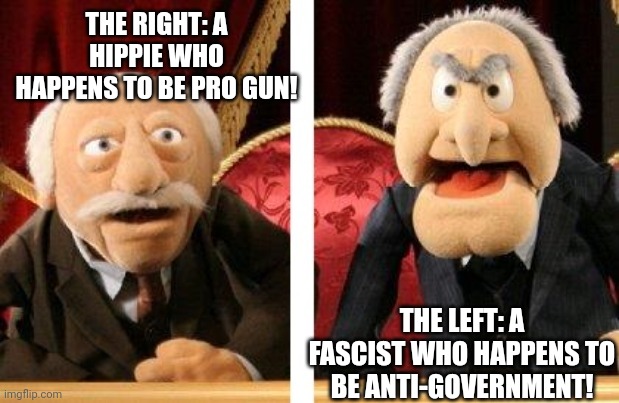 Politically homeless. IDK how the latter one works lol | THE RIGHT: A HIPPIE WHO HAPPENS TO BE PRO GUN! THE LEFT: A FASCIST WHO HAPPENS TO BE ANTI-GOVERNMENT! | image tagged in muppet critics divided | made w/ Imgflip meme maker