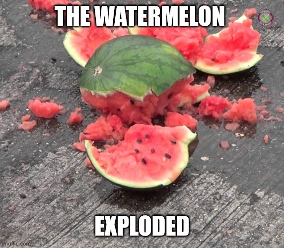 Watermelon | THE WATERMELON; EXPLODED | image tagged in watermelon | made w/ Imgflip meme maker