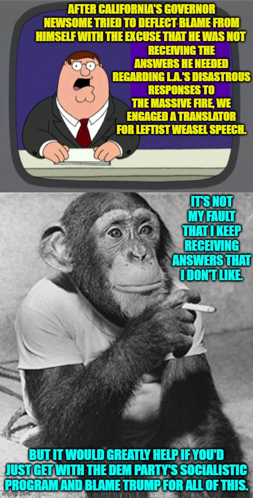 Socialism . . . you can't ruin a nation without it. | AFTER CALIFORNIA'S GOVERNOR NEWSOME TRIED TO DEFLECT BLAME FROM HIMSELF WITH THE EXCUSE THAT HE WAS NOT; RECEIVING THE ANSWERS HE NEEDED REGARDING L.A.'S DISASTROUS RESPONSES TO THE MASSIVE FIRE, WE ENGAGED A TRANSLATOR FOR LEFTIST WEASEL SPEECH. IT'S NOT MY FAULT THAT I KEEP RECEIVING ANSWERS THAT I DON'T LIKE. BUT IT WOULD GREATLY HELP IF YOU'D JUST GET WITH THE DEM PARTY'S SOCIALISTIC PROGRAM AND BLAME TRUMP FOR ALL OF THIS. | image tagged in peter griffin news | made w/ Imgflip meme maker