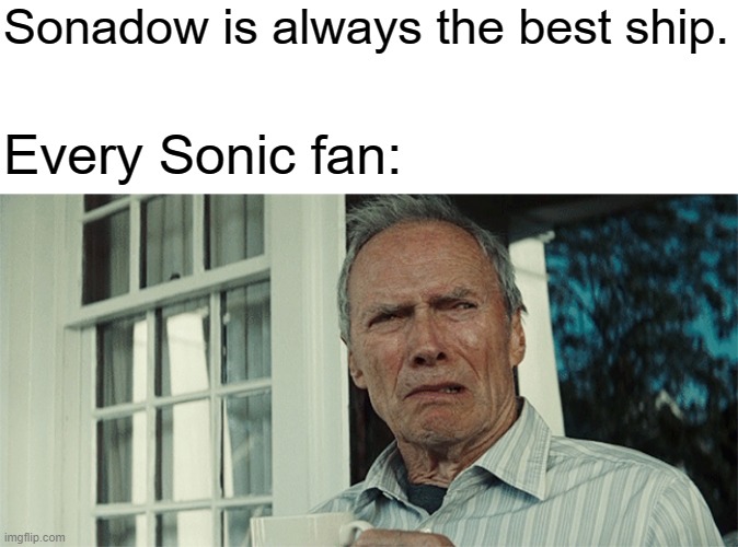 Pov:That one kid who ships Sonic and Shadow | Sonadow is always the best ship. Every Sonic fan: | image tagged in clint eastwood wtf,sonic the hedgehog,sega,shadow the hedgehog,sonadow,sonic | made w/ Imgflip meme maker