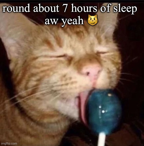 silly goober 2 | round about 7 hours of sleep 
aw yeah 😼 | image tagged in silly goober 2 | made w/ Imgflip meme maker