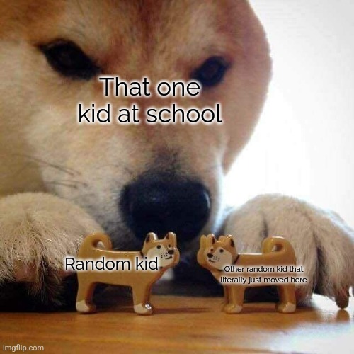 It happens too much in my school. You're not able to smile at the new kid without ten shippers | That one kid at school; Random kid; Other random kid that literally just moved here | image tagged in dog now kiss,school,new,kid | made w/ Imgflip meme maker