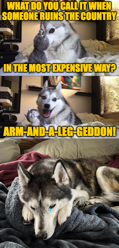 Sad Pun Dog. | image tagged in memes,sad pun dog | made w/ Imgflip meme maker