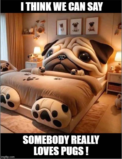 Obsession ! | I THINK WE CAN SAY; SOMEBODY REALLY LOVES PUGS ! | image tagged in dogs,pugs,obsession | made w/ Imgflip meme maker