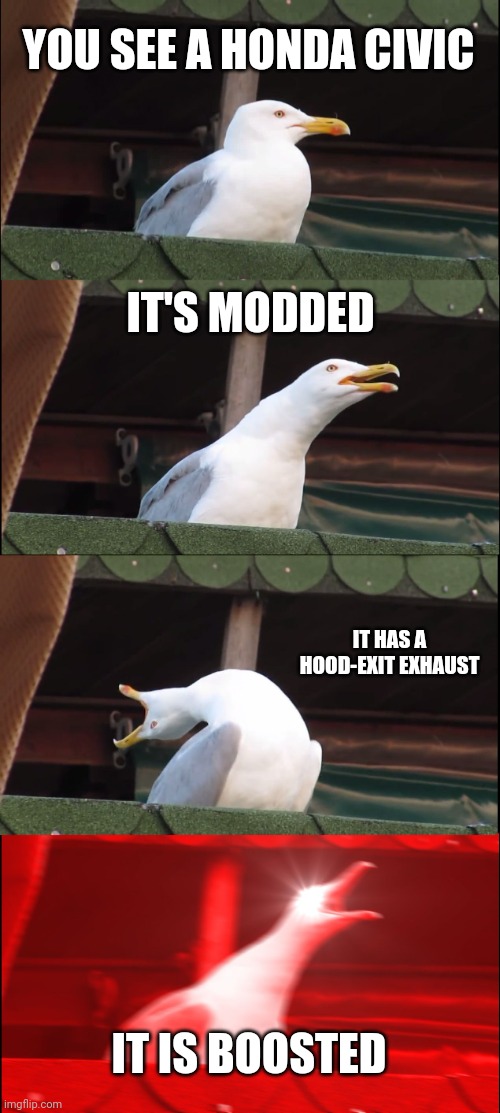 Me when I see a turbo Civic | YOU SEE A HONDA CIVIC; IT'S MODDED; IT HAS A HOOD-EXIT EXHAUST; IT IS BOOSTED | image tagged in memes,inhaling seagull,civics,vtec | made w/ Imgflip meme maker