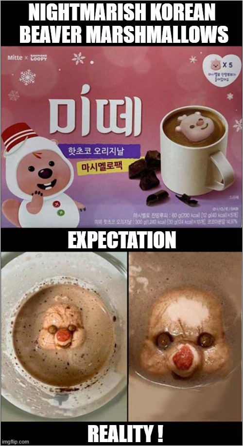 The Horror, The Horror ! | NIGHTMARISH KOREAN  BEAVER MARSHMALLOWS; EXPECTATION; REALITY ! | image tagged in korean,beaver,marshmallow,horror,dark humour | made w/ Imgflip meme maker