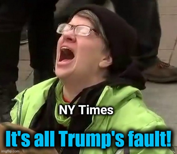 Crying liberal | NY Times It's all Trump's fault! | image tagged in crying liberal | made w/ Imgflip meme maker