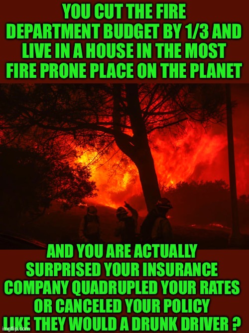 Yep | YOU CUT THE FIRE DEPARTMENT BUDGET BY 1/3 AND LIVE IN A HOUSE IN THE MOST FIRE PRONE PLACE ON THE PLANET; AND YOU ARE ACTUALLY SURPRISED YOUR INSURANCE COMPANY QUADRUPLED YOUR RATES OR CANCELED YOUR POLICY LIKE THEY WOULD A DRUNK DRIVER ? | image tagged in wildfires | made w/ Imgflip meme maker